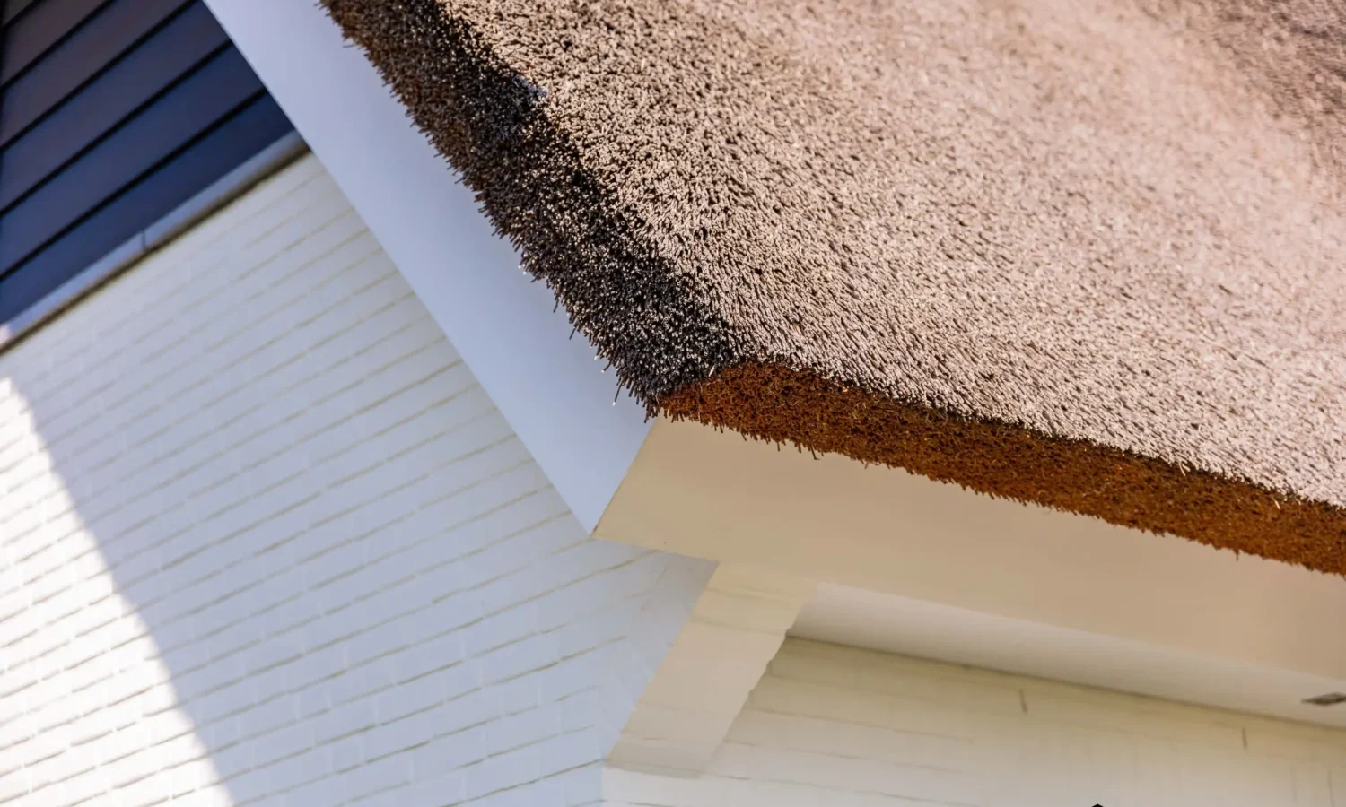 Detailopname van het rieten dak.