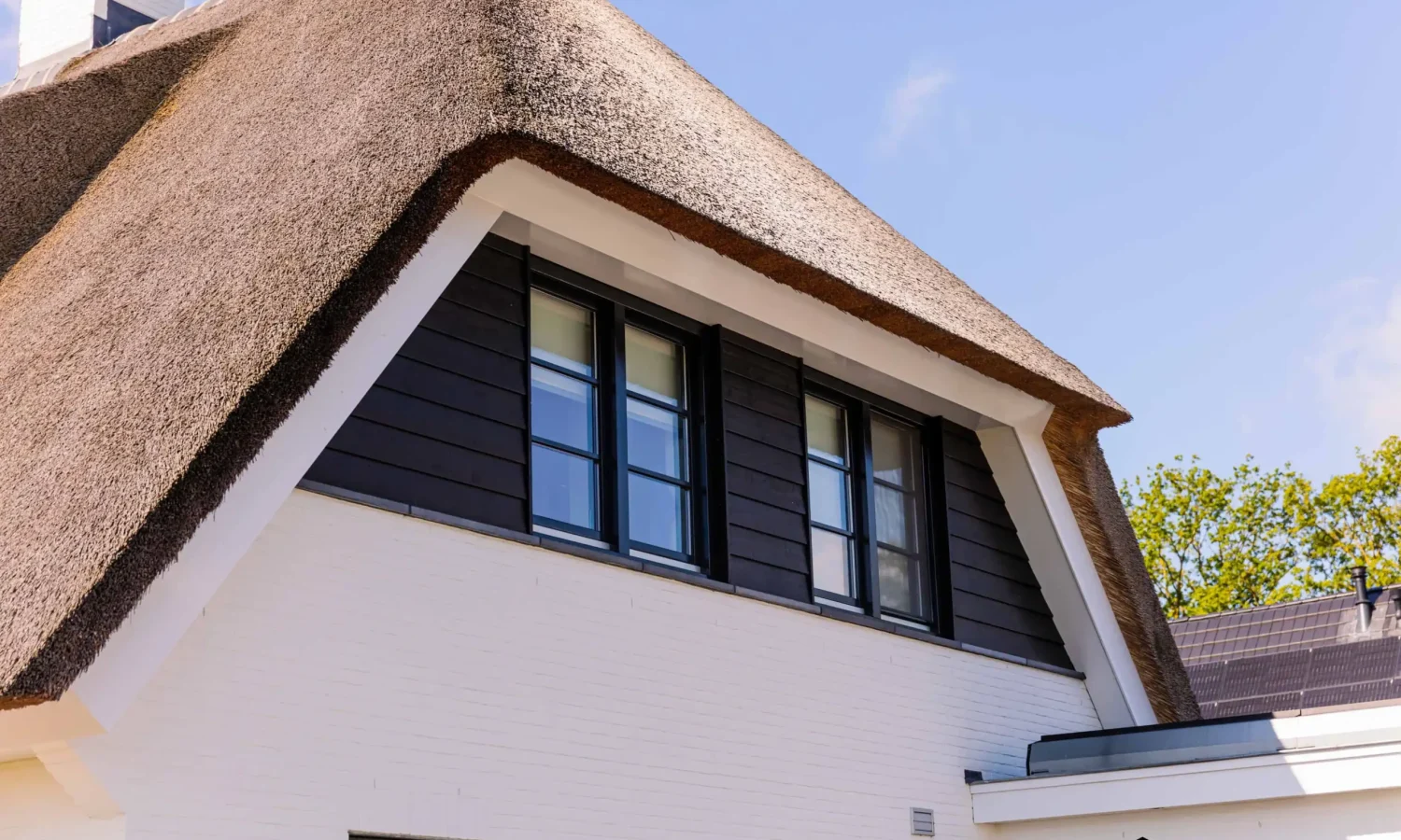 Aannemer Haaksbergen Rieten dak
